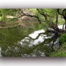 우포늪생태공원 이미지