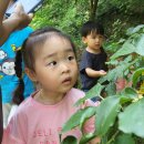 구항농장 이미지