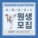청명태권도장 | 2024 화성 시장기 태권도대회 출전, 메달 29개 획득!