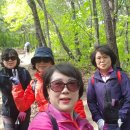 시민볼링장앞사거리-포항철강산업단지1단지 앞 삼거리 | 포항 운제산(포항시 남구 대송면)