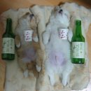마셔마셔 Daum카페