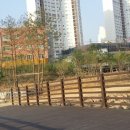 동탄센트럴파크 게이트볼장 이미지