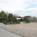 석관동7 이미지