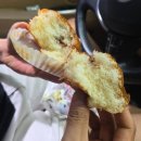 호펫 강아지 고양이 성신여대본점 | 사노비의 흥망성쇠