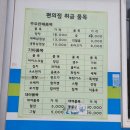 대저오리 네이버블로그