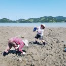 쪼꼬헤어 | 남해 갯벌체험 무료 즐긴 남해 펜션 후기