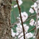 청어람학원 이미지