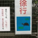 삼겹이운다 | 한여름 도쿄_🍥