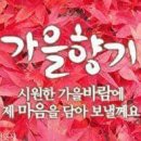 안동김밥 - 구로구 디지털로26길 5 | 안동김밥