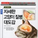 로얄에이알씨(주) 이미지