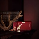 경희태강한의원 이미지