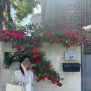 로우 (ROW) | 더로우(THE ROW) 파크백 미디엄 아이보리 착용 후기 / THE ROW N/S Park Tote Bag Medium