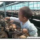 안대리농장 이미지