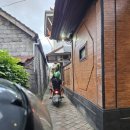 술비어 | 발리 이색체험 맥주 무제한 '비어사이클 BeerCycle' 혼자가서 친구사귀고 재밌었던 후기 및 예약사이트