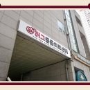 더(the)큰병원 | 방이동 동물병원 추천, 실시간 초음파 확인 가능한 THE허그동물의료센터 다녀온 후기