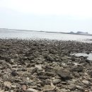 물동이 이고 가는 이미지