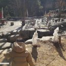 군불로관광농원 이미지