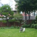 곰실화장실 이미지