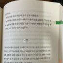 라우루스 이미지