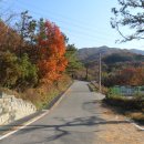 장흥수영장 이미지