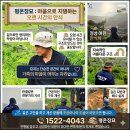 묘지사초는 결과로 증명됩니다｜한 달 후 현장점검 이미지