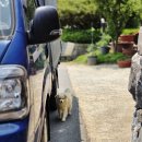 이상근농장 이미지