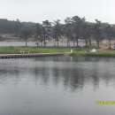 화탄매운탕 이미지