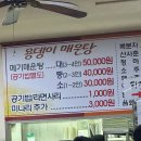 금강뷰 세종 조치원 맛집 용댕이매운탕 내돈내산후기