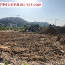 완월동103 이미지