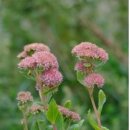 치악산국립공원(관리사무소) 이미지