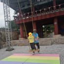 울산축제 2025 태화강 마두희축제 후기