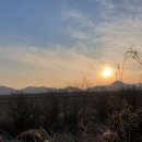 순천만 습지 이미지