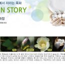 목화자원 이미지