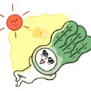 까비애견 이미지