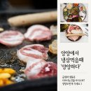 양양하다 이미지