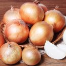 양파 - 통영시 중앙로 160 | 양파