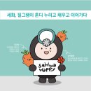 세화여행사 - 금정구 금정로 143-2 | 세화여행사