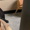 (주)엠트럭서비스 | 2025년 최종의 최종까지 정병이 끊이지를 않네