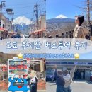 11545-03-31-14 | 도쿄 후지산 투어 후기 | 버스투어 당일치기 일정·코스 정리