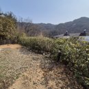 동성리젠시 이미지