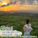 오름푸드 이미지