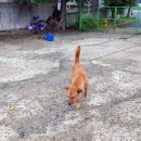 신두만곡로 이미지