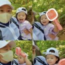 세은등산 - 북구 동문대로 163 | 세은등산