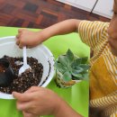 토현초교 이미지