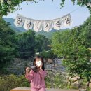 파주 신상 캠핑장 추천 🏕️ 시즌온 캠핑장 내돈내산 솔직한 후기 수영장과 계곡이 있는 파주 캠핑장