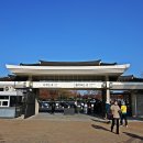 국립경주박물관 이미지