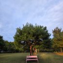 강원도산림박물관 | 춘천 가을 여행 힐링 스팟! 강원도립화목원 국화축제 &amp; 산림박물관 후기 (입장료, 주차 총정리)