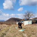 보리수 | 🍀 아도모례원 보리수 일수행 후기