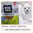 퍼피베이크 | 노견사료 고민 끝! 오븐베이크사료 와이즈테일 호키 후기