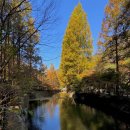 장태산자연휴양림 이미지